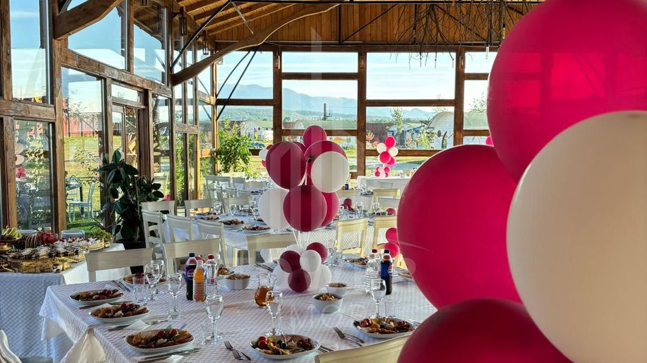 Închiriere Spațiu Comercial – Restaurant - Valea Avrigului - Poză 3