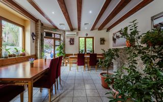 Afacere HoReCa de preluat – Pizzeria Venezia, Arad - Poză 3