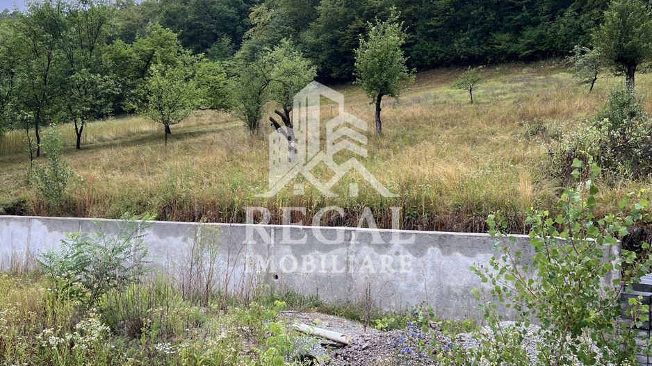 Proprietate cu potențial, într-un cadru natural de vis – 3581 mp teren - Poză 2
