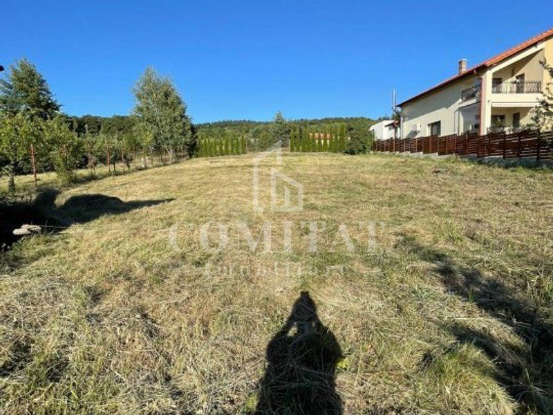 Vilă pe stradă privată | cartier Făget - Poză 5