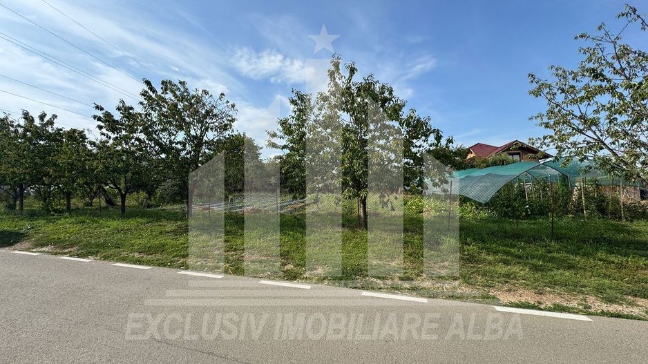 Teren intravilan | 1200 mp | 35 ml deschidere | Alba-Micesti - Poză 3