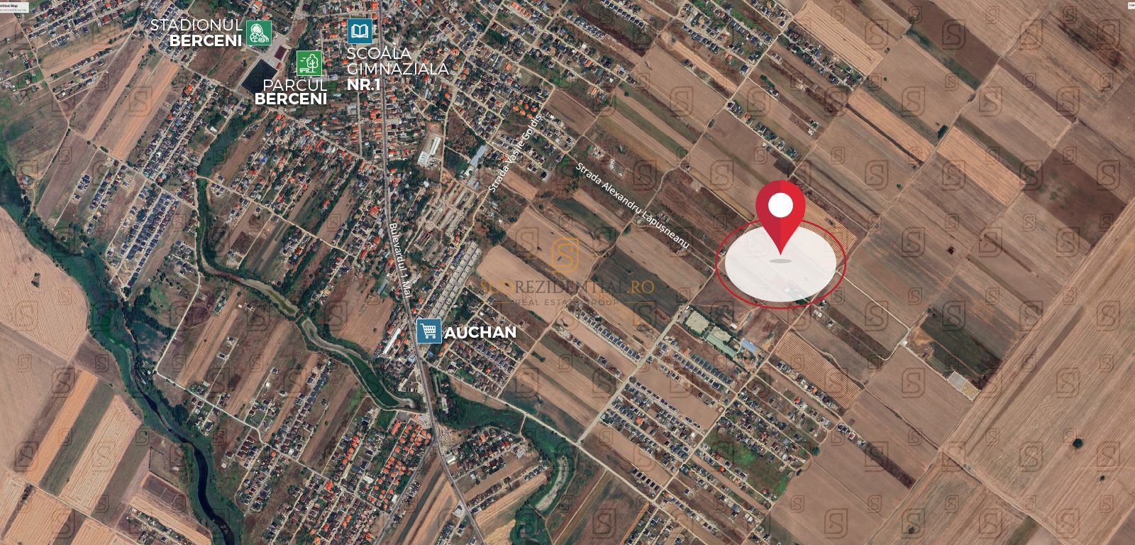 Tere intravilan, 500 mp, str Buchetului, comuna Berceni, Ilfov - Poză 3