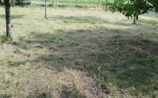 Teren intravilan 1200 mp, Rediu, zona Platou Beldiman – 2 parcele + cale acces - Poză 3