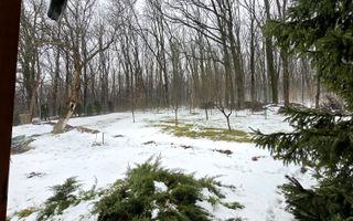 Complex comercial – restaurant / pensiune / retreat – Copou, Iași - Poză 17