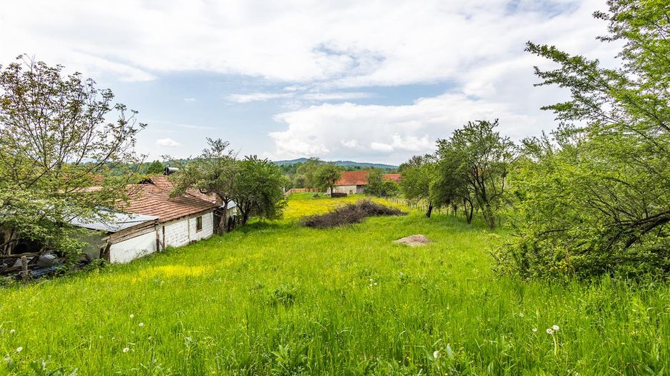 Casa traditionala + 8.500 mp teren, intravilan, Sinca Noua, Brasov - Poză 17