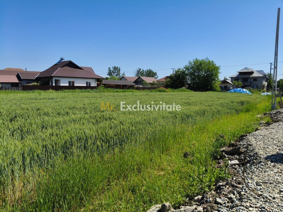 Teren 10.294 mp de vânzare Târgu Jiu | Intravilan + Extravilan | Utilități - Poză 7