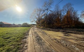 Teren intravilan Satu Nou de Jos 25 ari - Poză 3