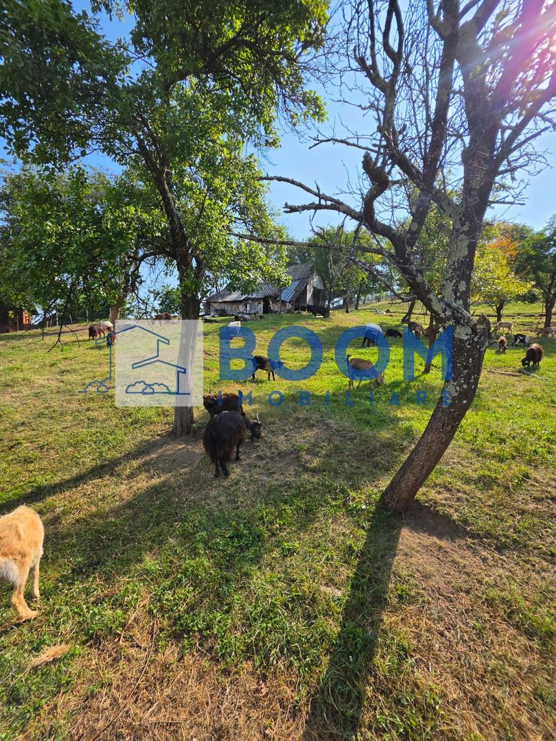 Casa noua | Zona de recreere | Evadare in natura| - Poză 8