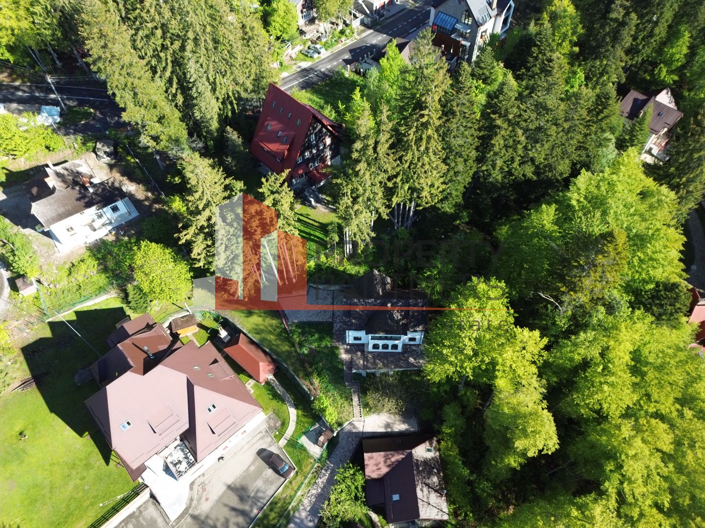 Vila Sinaia - Poză 2
