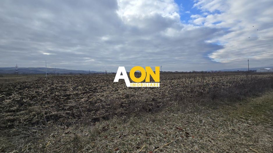 Teren Intravilan 10.000MP Zona Partos - Poză 4