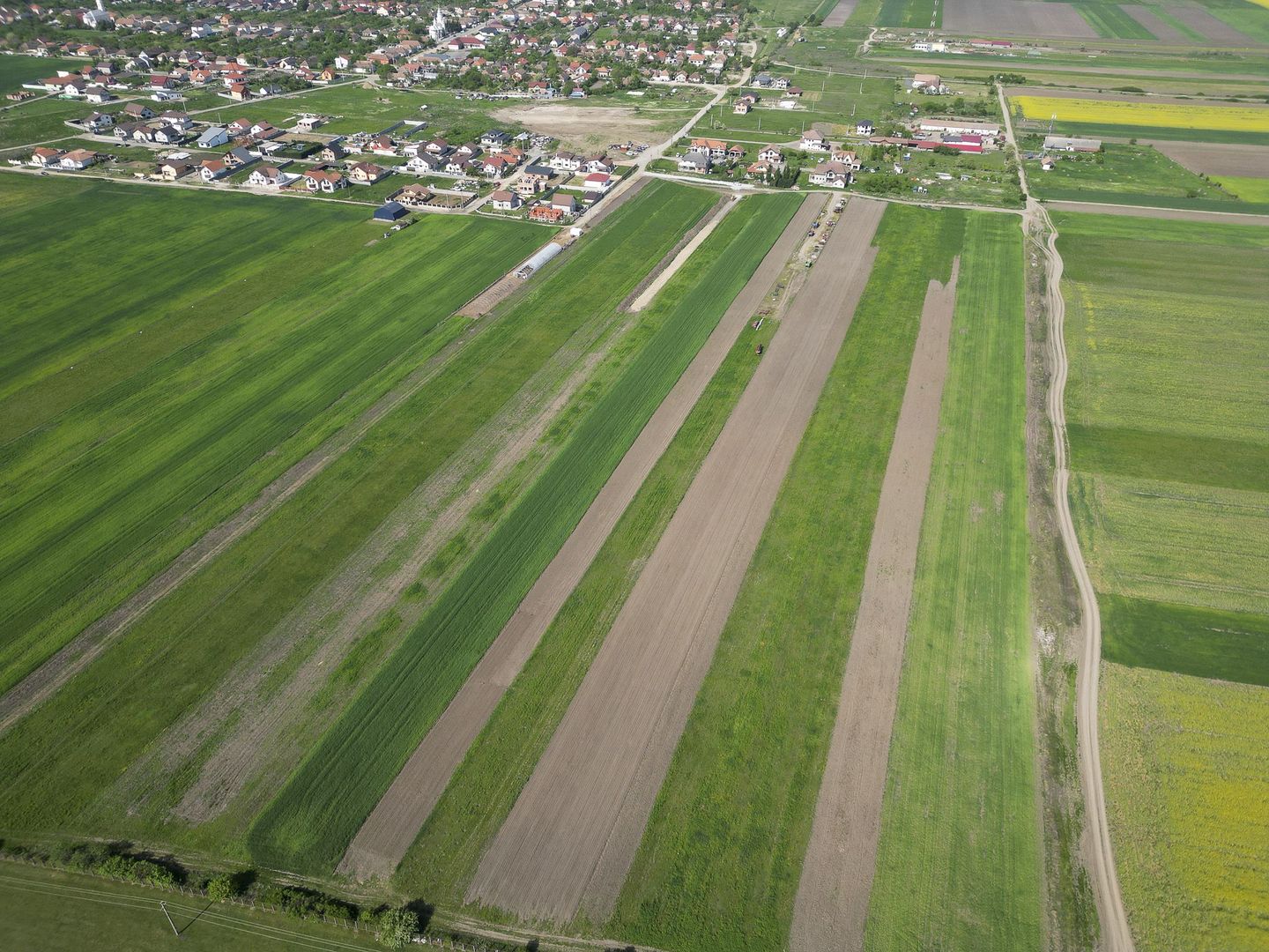 Loc de casa de 504 mp în Livada - Poză 9