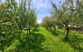 Casa de vanzare - IDEAL INVESTITIE - 1652mp teren - Daia - 105mpu - Poză 6