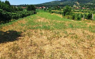 TEREN INTRAVILAN POLOVRAGI - Poză 4