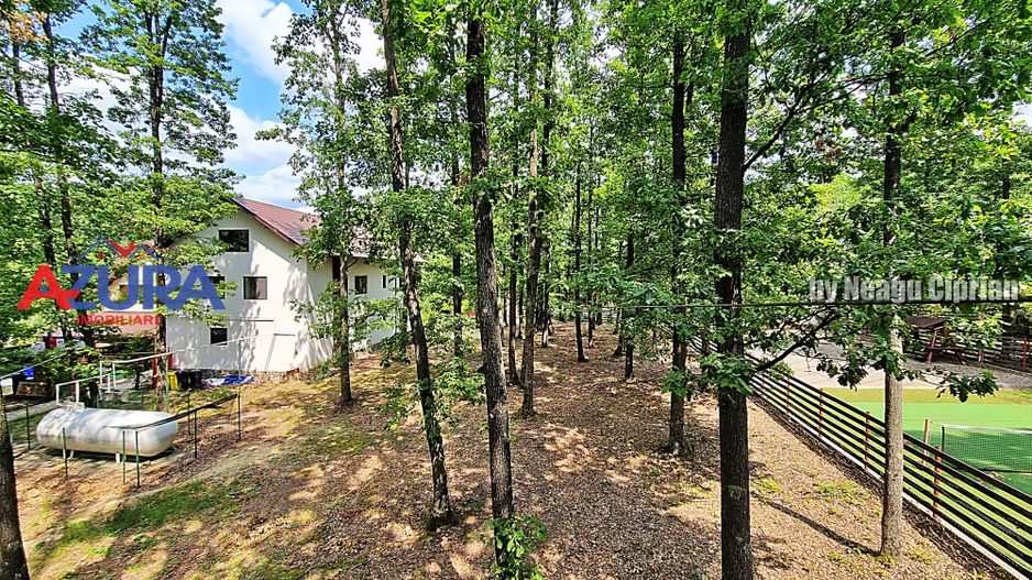 Casă de vacanță în pădure, 10 km de Pitești - Babana - Poză 20