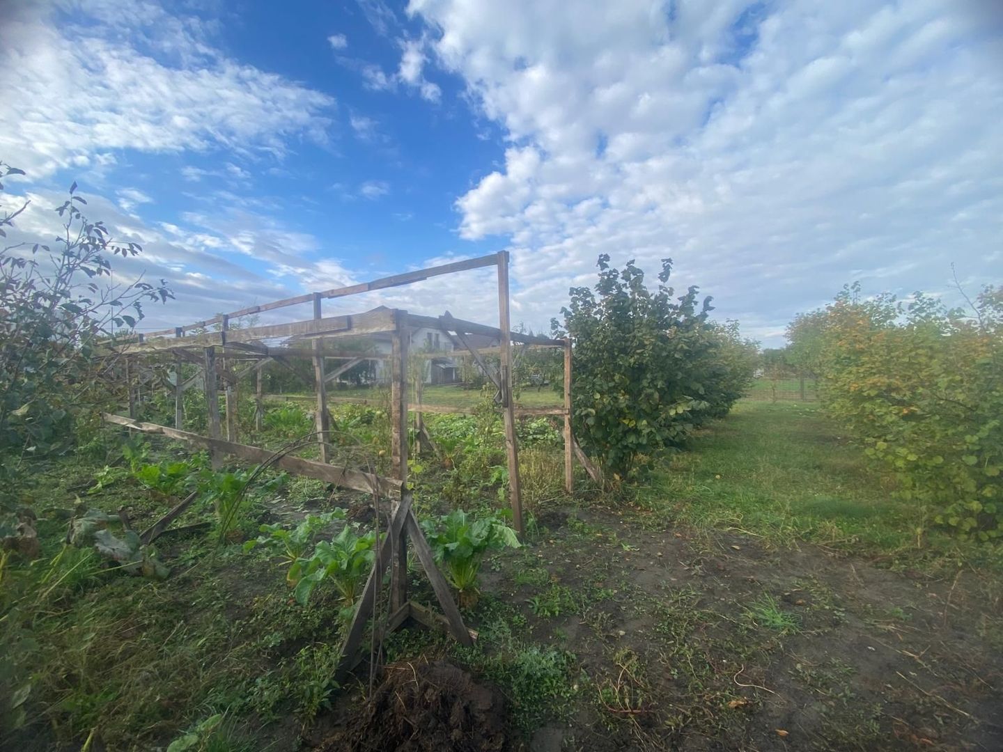 Vanzare casă cu teren generos în Săcueni, la 15 minute de Târgoviște - Poză 19