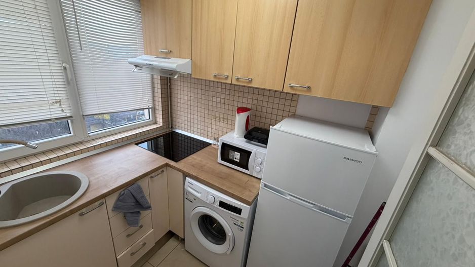 Garsoniera | Liviu Rebreanu | Park Lake | Dristor - Poză 10