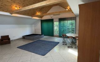 Vilă Eleganta D+P+M si generoasă Sannicolau Mic Arad Plata în Rate - Poză 2