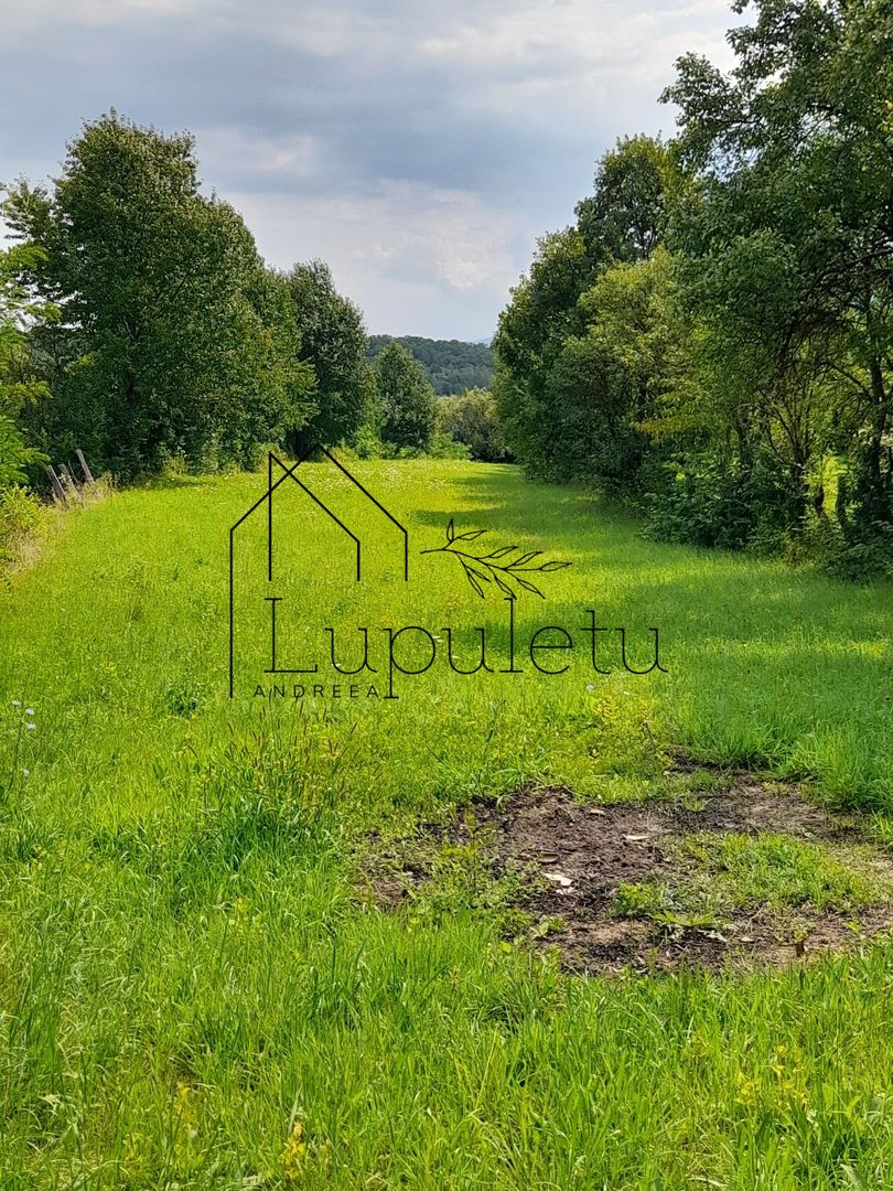 Teren Intravilan | 1500 MPU | Tocile, Comuna Sadu - Poză 1