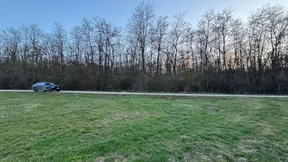 intravilan in vecinatatea palatului Snagov - Poză 4