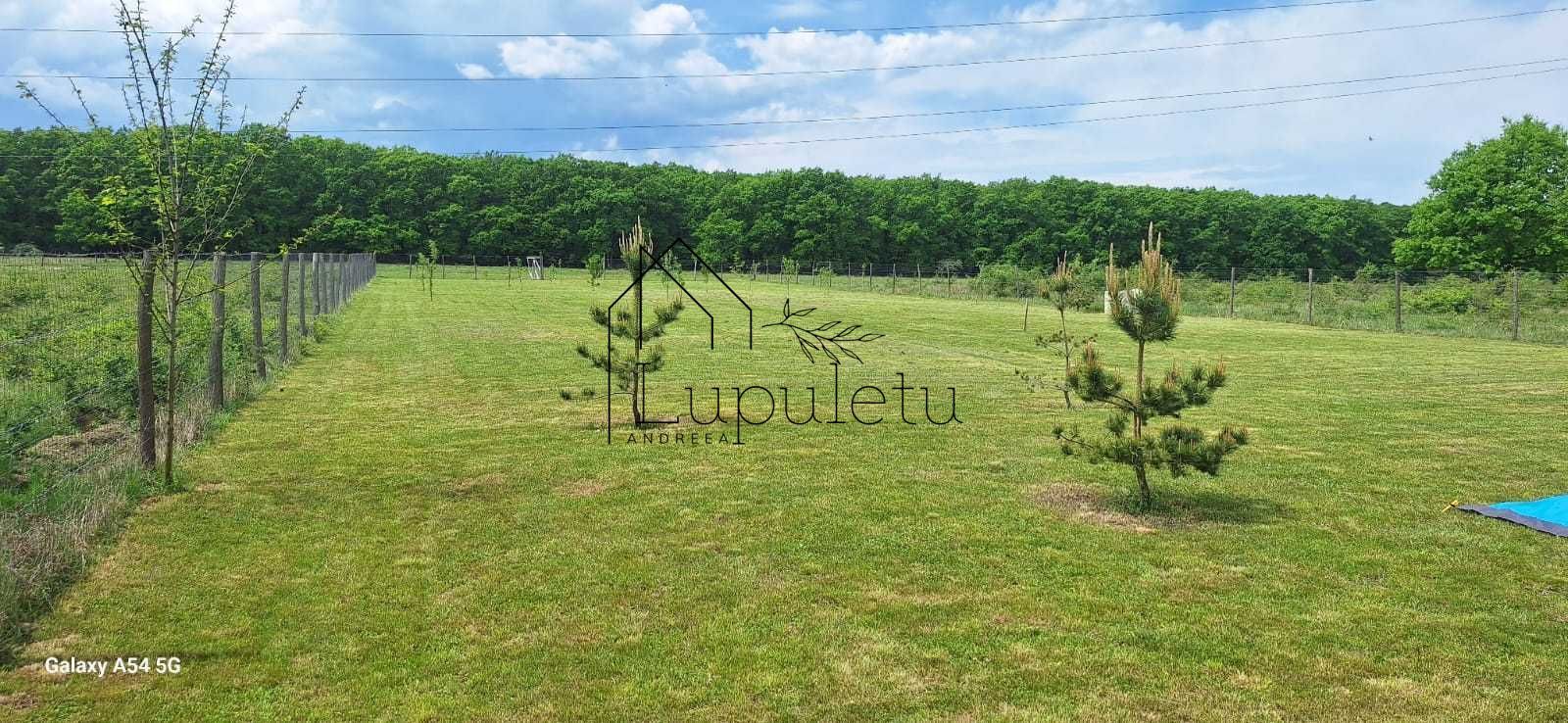 Teren Extravilan | 2.000 MPU | Intabulat | Zonă liniștită - Poză 6