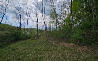 Teren intravilan 1454 mp la marginea padurii zona locuita de case! - Poză 13