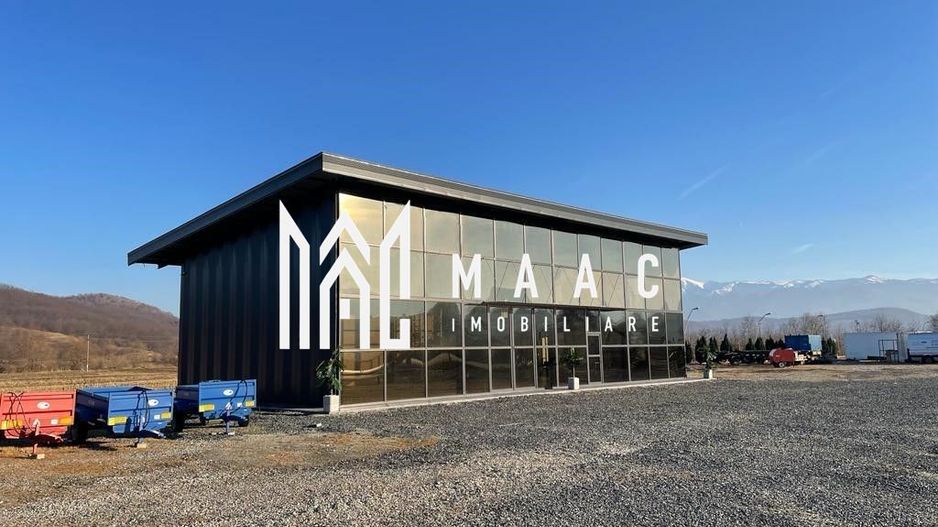 Hala | 250 MP |  Teren 3900 MP | - Poză 1