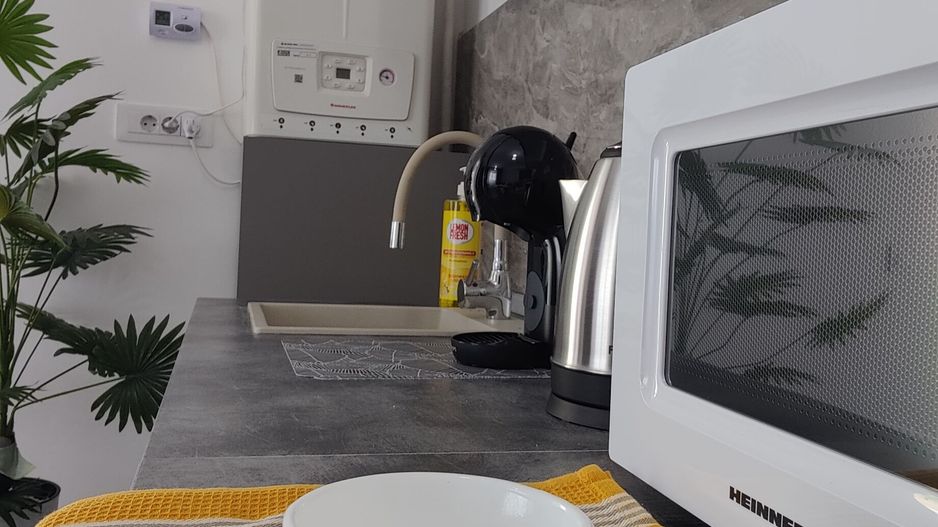 Studio modern, 40 mp | Strada Samuil Vulcan - Poză 12