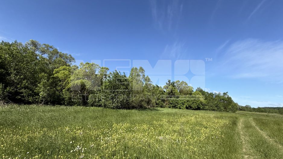Teren de vânzare | Hardic | 2.300 mp - Poză 4
