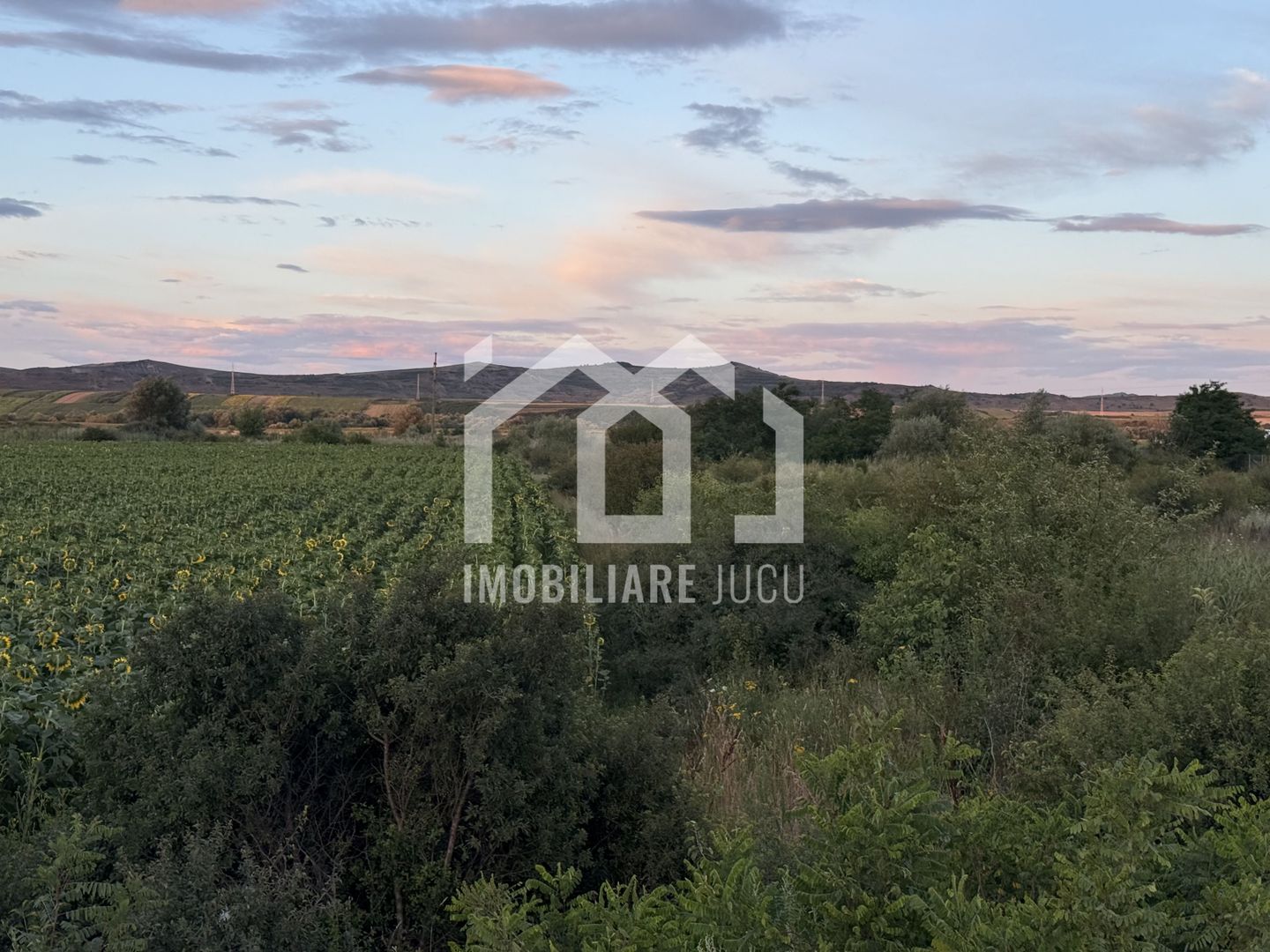 Teren – 7.194 mp | Răscruci – Zona Tetarom - Poză 5