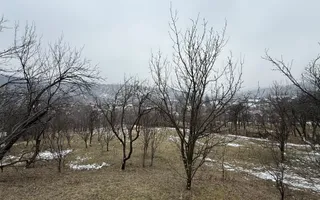 Teren 4652 mp cu izvor pe el, Lunca Mare, lângă păstrăvăria Doftana - Poză 14