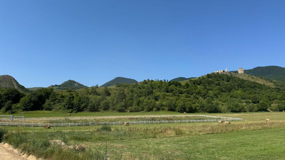 Teren de vanzare – Rimetea, Alba | 9000 mp - Poză 2