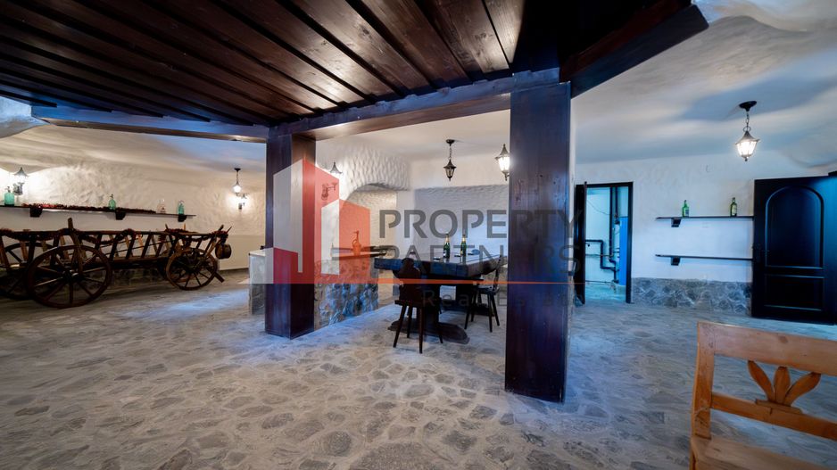 Casa de vacanta Predeal - Poză 30