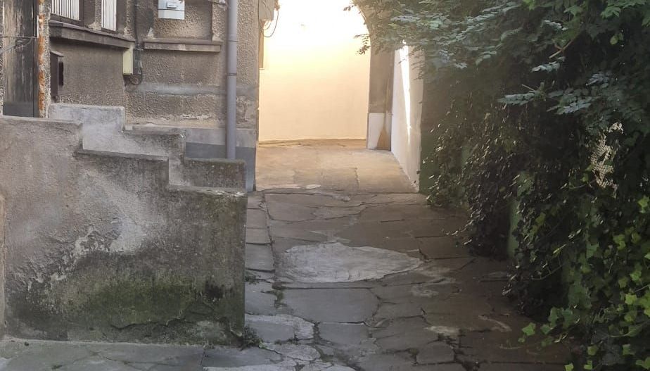 4 camere într-o vilă elegantă, retrasă și liniștită – zona Vasile Lascăr - Poză 15