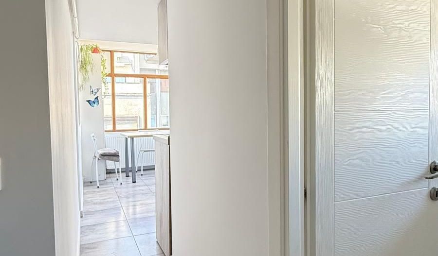 3 CAMERE | OPORTUNITATE INVESTITIE | ZONA  EXCLUSIVISTA | GRADINA ICOANEI - Poză 9