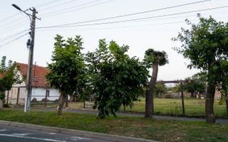 Teren cu Proiect și Autorizație Construcție - Poză 3