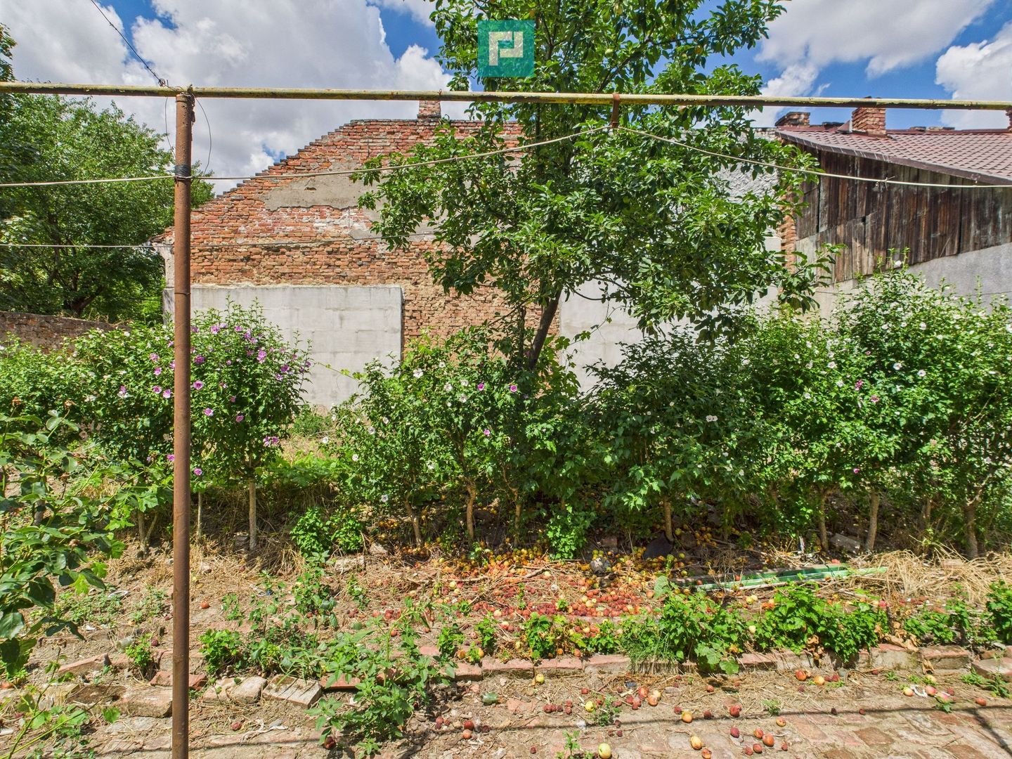 Teren 1.484 mp în zona Iosefin - Poză 9