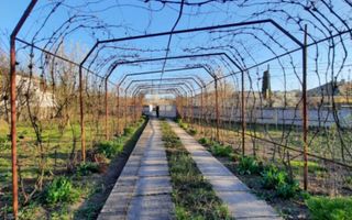 Casa de vanzare/Balcesti/Valcea/Str Pietii - Poză 7