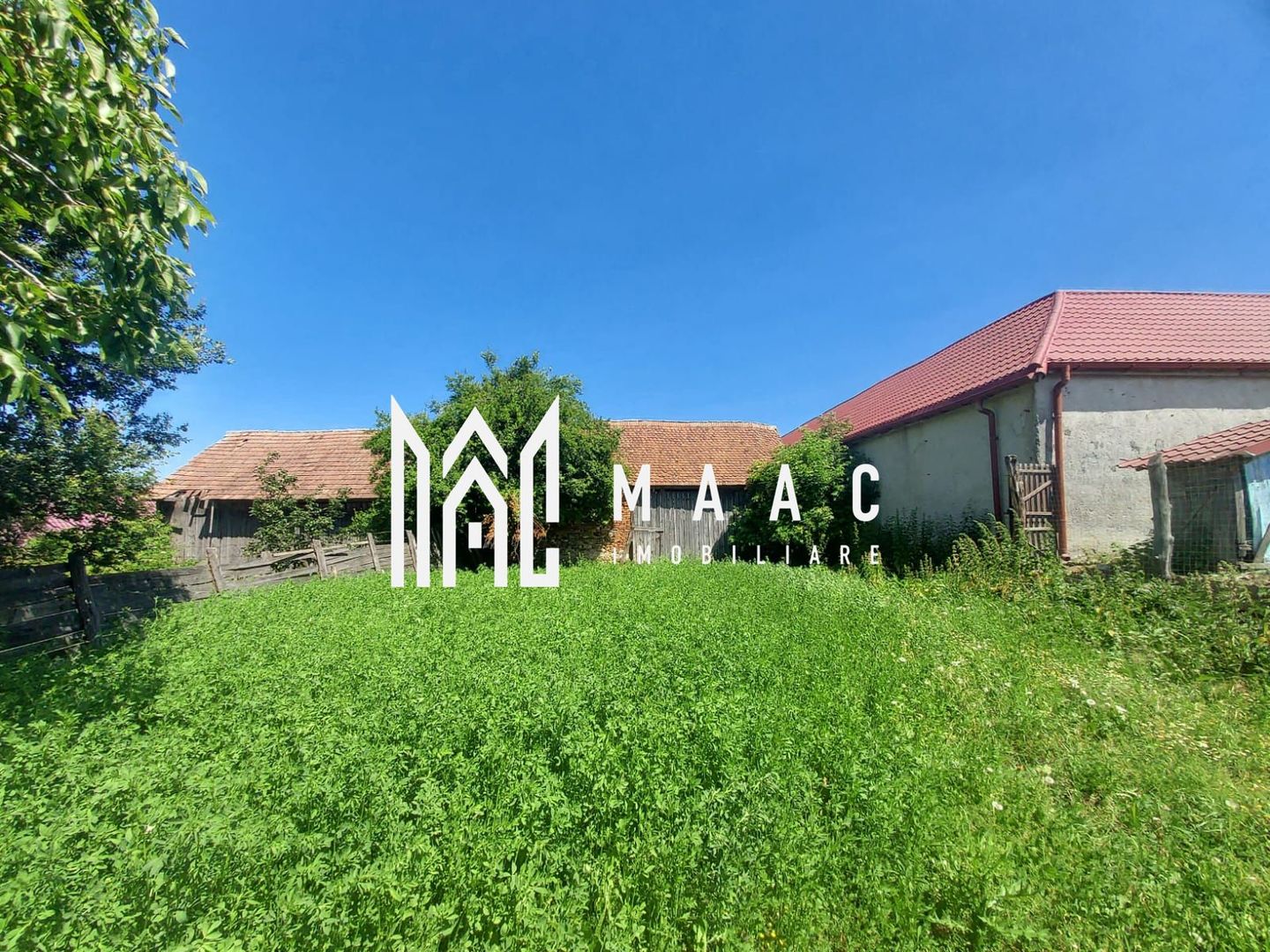 Casa 3 camere | 2225 MP Teren | Ticusu Nou | - Poză 17