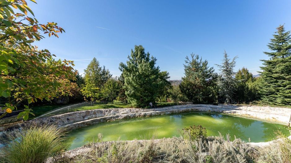 De vanzare casa unica pe teren de 3400mp, cu iaz si gradina - Borhanci - Poză 18