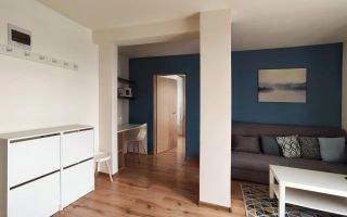 Apartament 2 camere de inchiriat, 47 mp cu terasa 21 mp, str Razoare Vivo - Poză 8