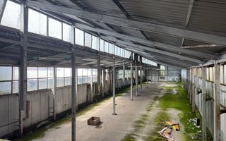 Hala In oras str Traian eligibil program "Tranzitie Justa" - Poză 8