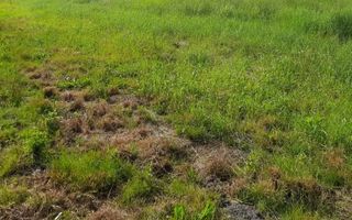 Teren 2400 mp, Simnicu de Sus - Poză 3