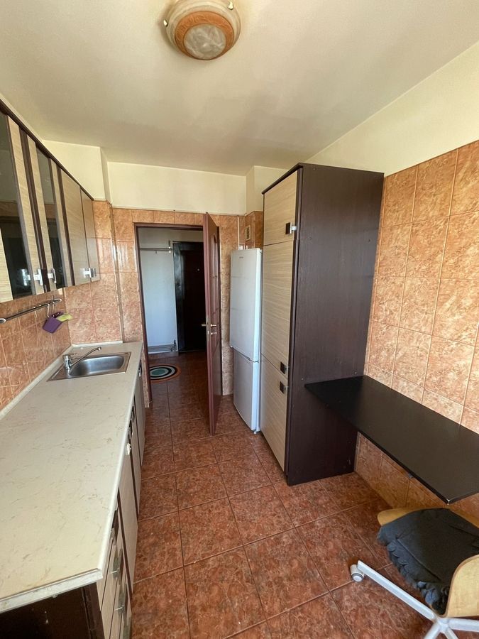 Apartament Banu Manta // Titulescu - Poză 3