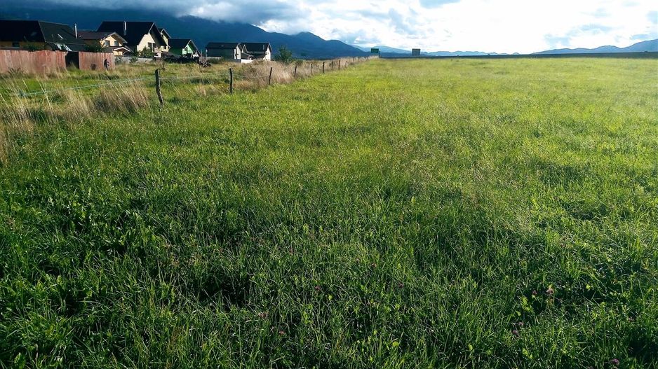 Teren intravilan, Rasnov, Brasov, 5.000+3.000 mp , vedere montana - Poză 10