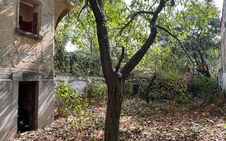 VILA INDIVIDUALA CISMIGIU | INTR. TEMISANA - Poză 8