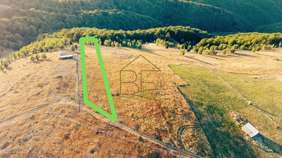 Păltiniș - Teren cu perspectivă panoramică pentru un refugiu în natură - Poză 1