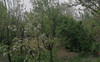 Ag EUROPA vinde casa 6 cam teren 11 ari în zona 14 Mai. - Poză 3