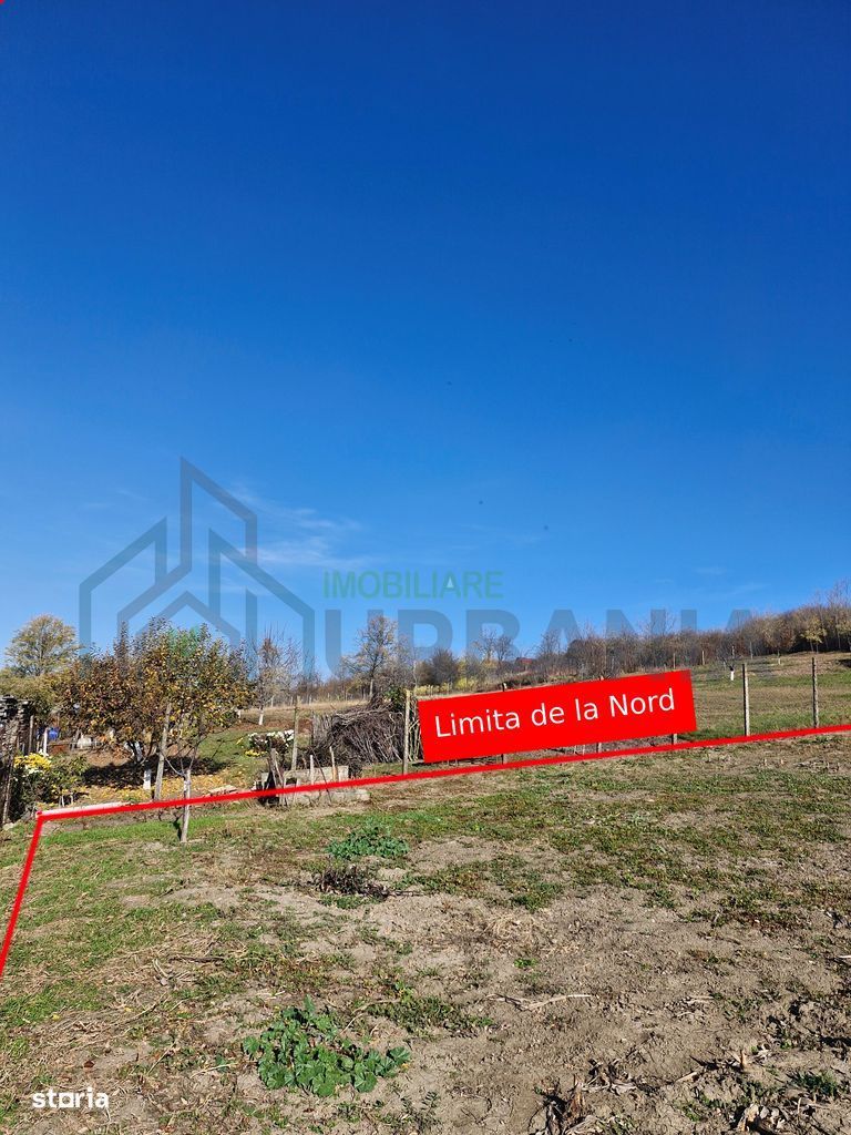 Teren intravilan 1308 mp Rediu | 9 min Copou / Pacurari - Poză 4