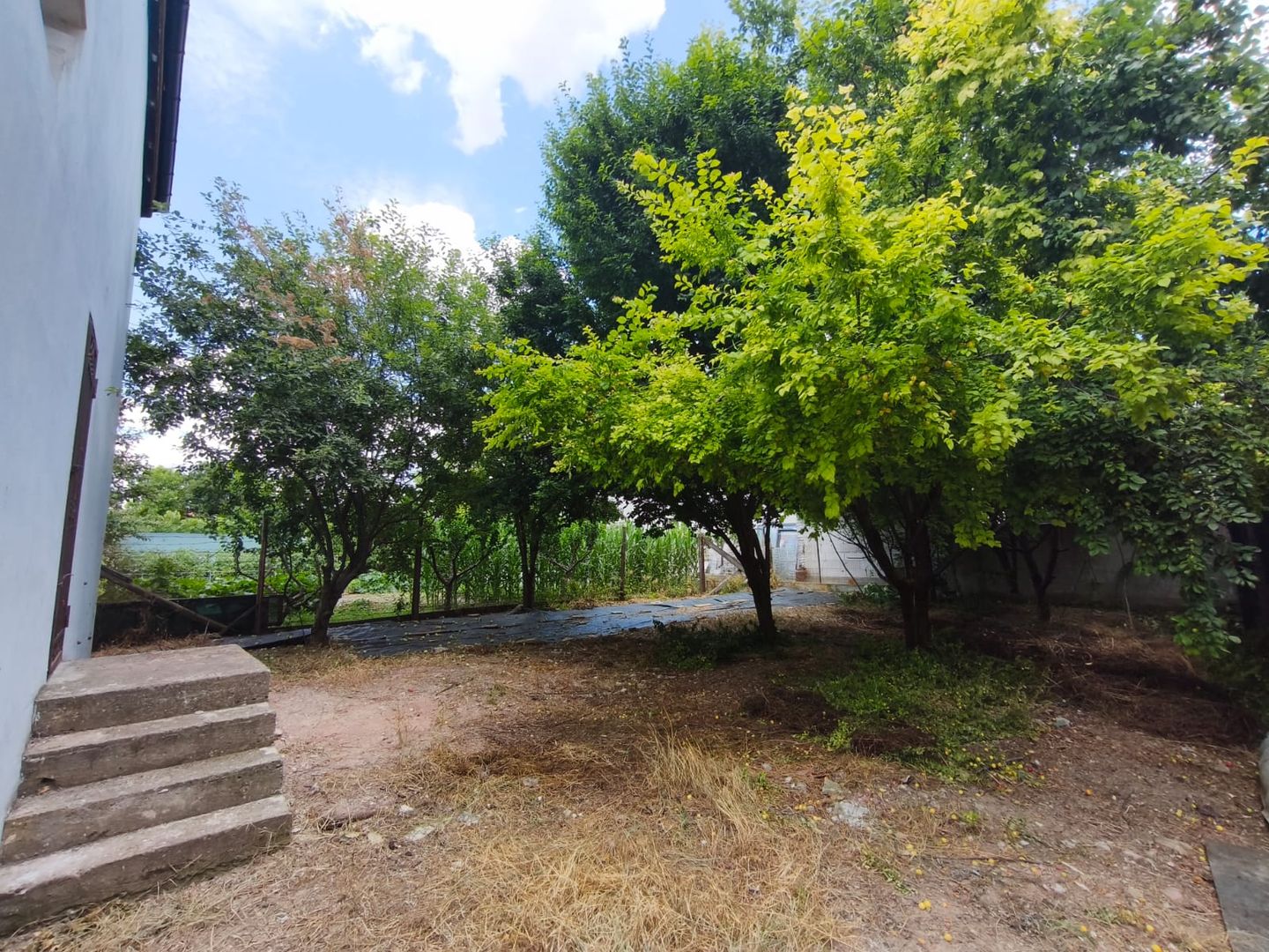 Casă P+M | Teren 480 mp | 322 mp utili | Lumina - Poză 19