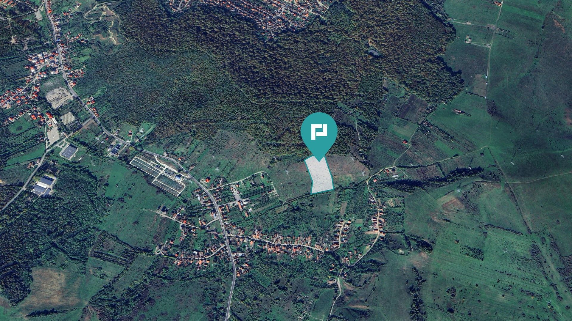 Teren fâneaţă lângă pădure - Hunedoara - Poză 3